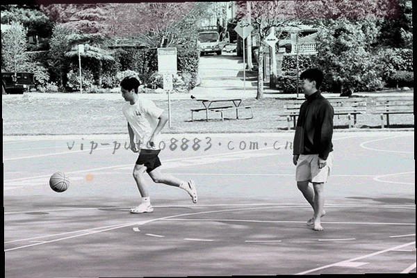 四个不同颜色的葡萄串代表栏目